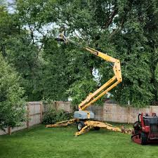 Best Hazardous Tree Removal  in USA